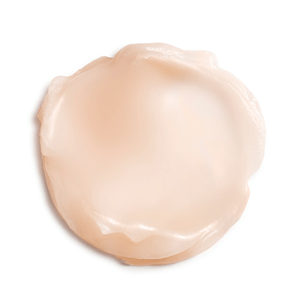 Camellia Glow Solid Face Oil